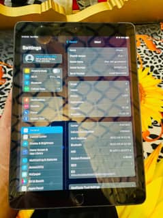 Apple iPad