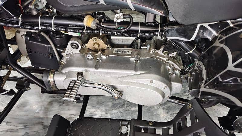 250cc Sports Raptor Automatic Gears Atv Quad Bikes Delivery In All Pak 7