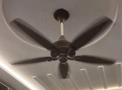 ceiling fan