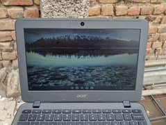 Acer