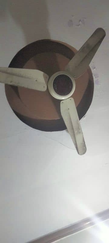 celling fans in good condition