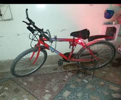 Mountain bicycle