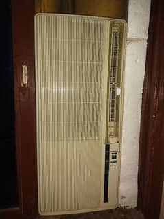 Portable 1/10 V ac
