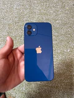 iPhone 12