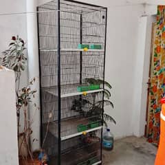 Bird Cage For Sale