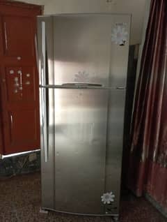 Jumbo size fridge