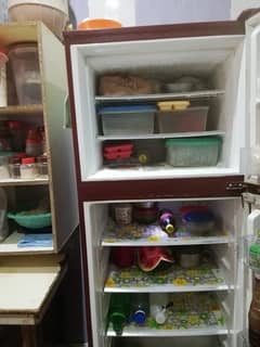 Pel Glass door refrigerator