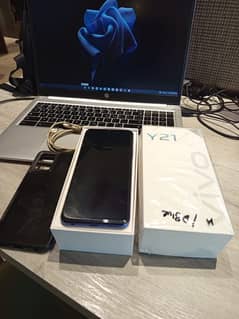 Vivo