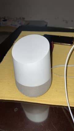 Google home smart