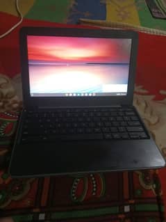 ASUS Chromebook C202SA
