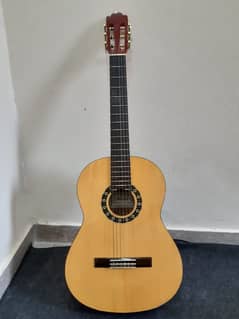 Professional guitar