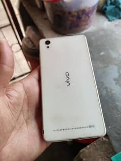 vivo