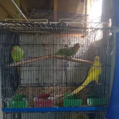 all