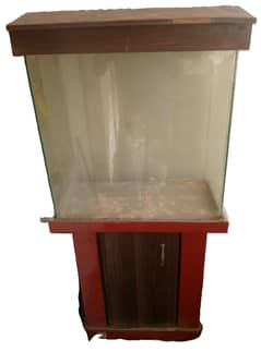 Aquarium with accessories