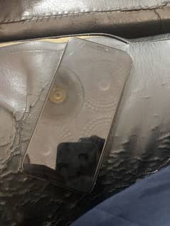 Xs