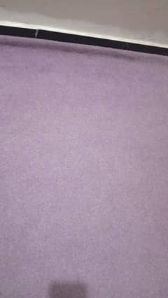 carpet for sale