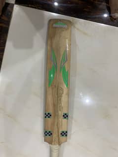 Cricket