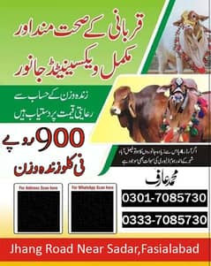 Qurbani