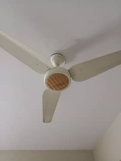 sonic fan
