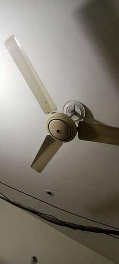 fan chat wala