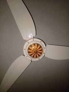 Ceiling Fan (chenab)