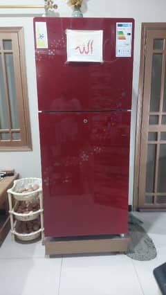 Full Size Glass Door