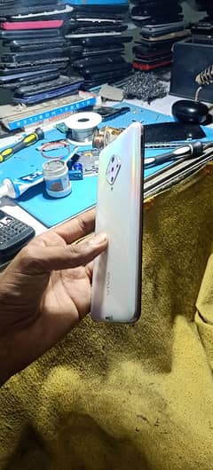 vivo