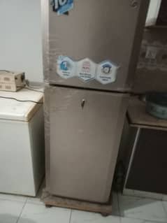 fridge pel