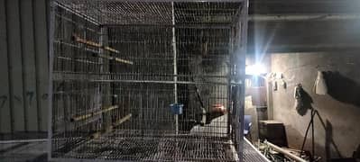Bird cage 25 kg