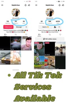 TikTok All Services Available
