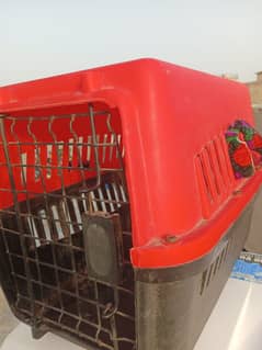 Cage for cat