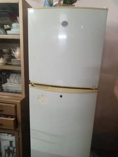 fridge