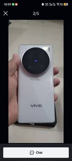 Vivo