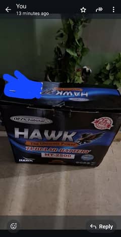 hawk battery