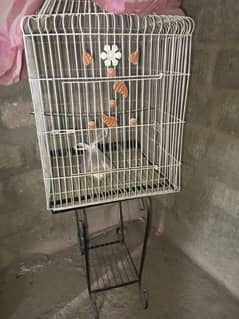 parrot cage