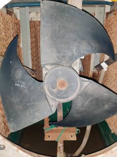 outdoor fan only fan
