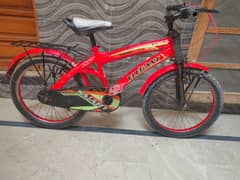 cycle for sale 20 size