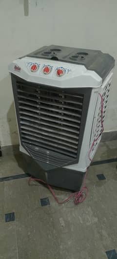 Air Color 2024 model