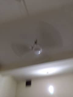 ceiling