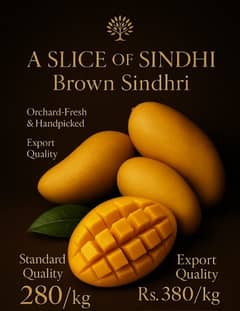 Mango Sindhri