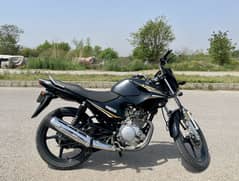 Yamaha YBR 125