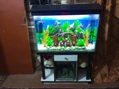 aquarium