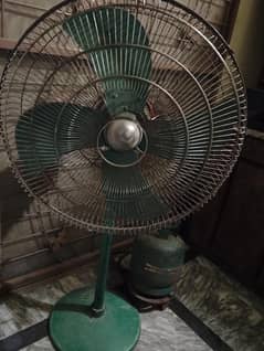 pedistal fan