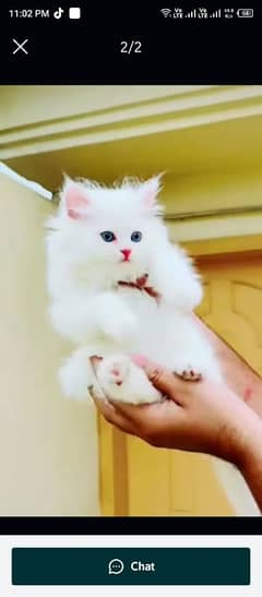 Persian