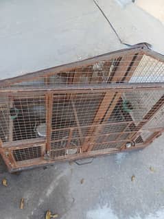 bird cage for sale