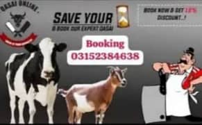 qasai bucher professionally