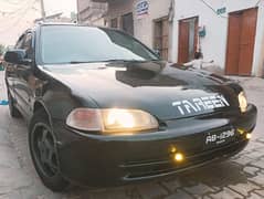 Honda civic Dolphin