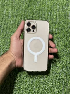 Iphone 12 pro max