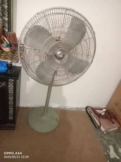 fan. . . .