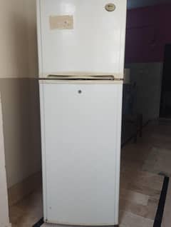 LG